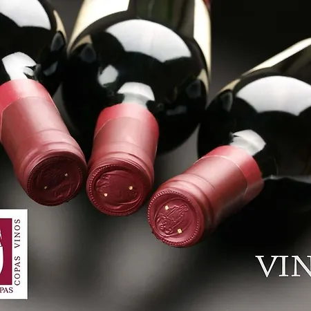 Comfort Dauro 2 Hotel